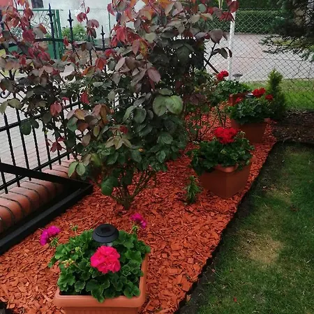 U Elzbiety Quarto em Acomodações Particulares Łeba