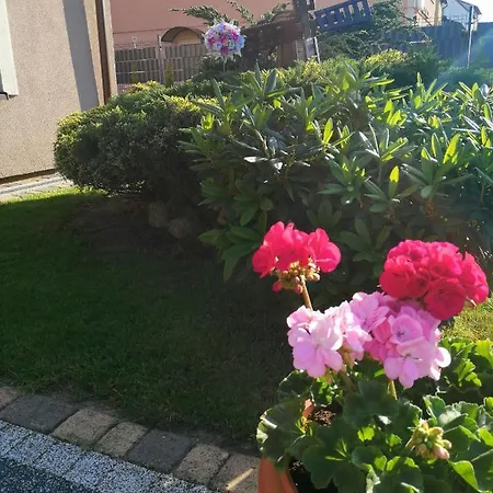 Pokoje U Elzbiety Homestay