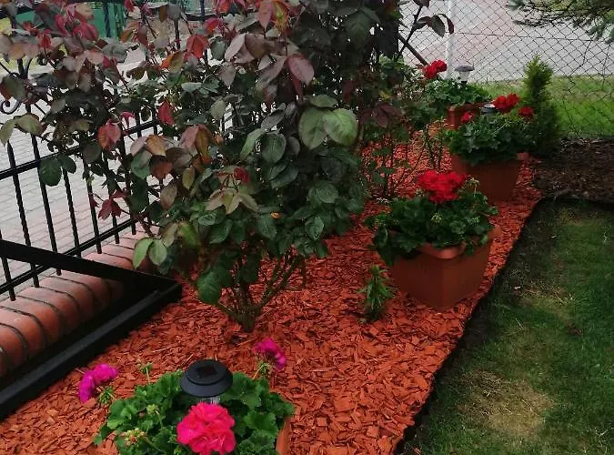 U Elzbiety Kwatera prywatna Łeba
